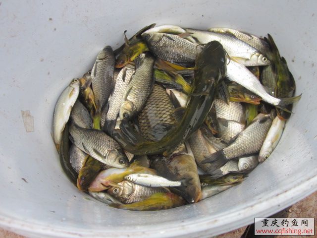 Ƭﻨ 538.jpg