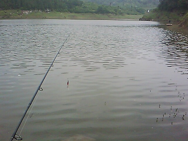 IMG0801A.jpg