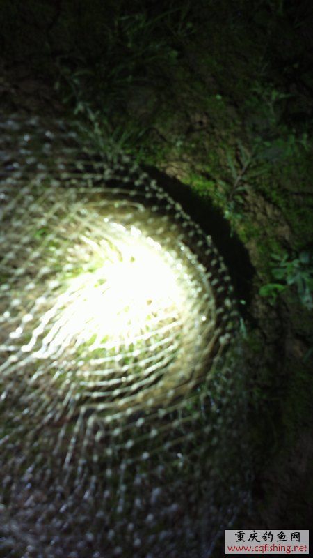 2013-05-10-1111.jpg
