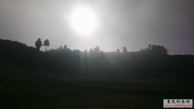 2013-05-11-1118.jpg