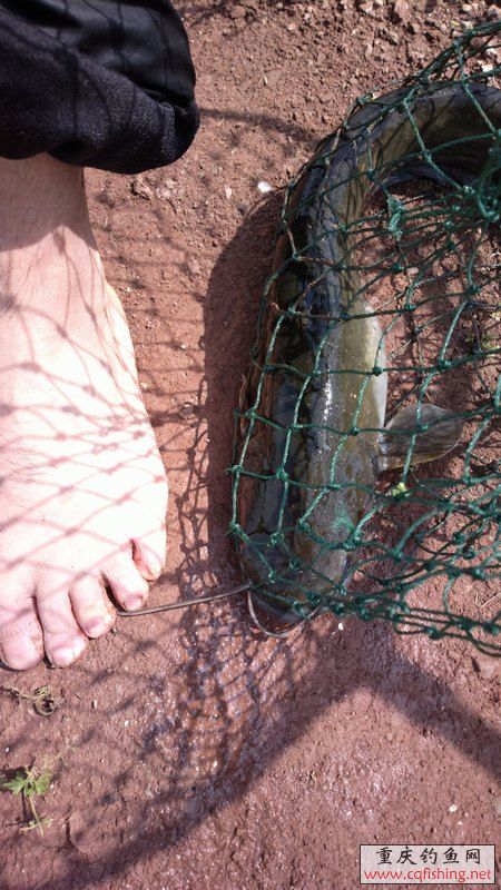 2013-05-11-1124.jpg