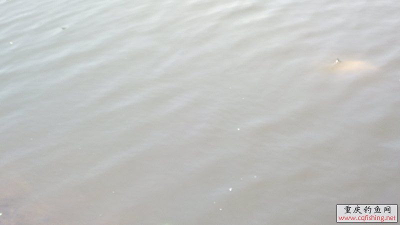 2013-05-12-1236.jpg