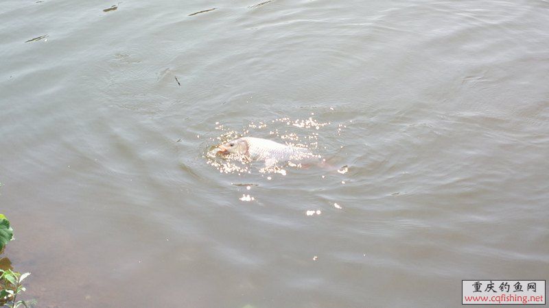 2013-05-12-1238.jpg