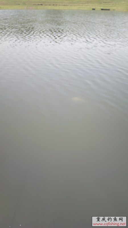 2013-05-12-1244.jpg