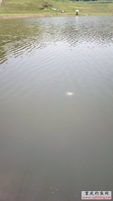 2013-05-12-1245.jpg