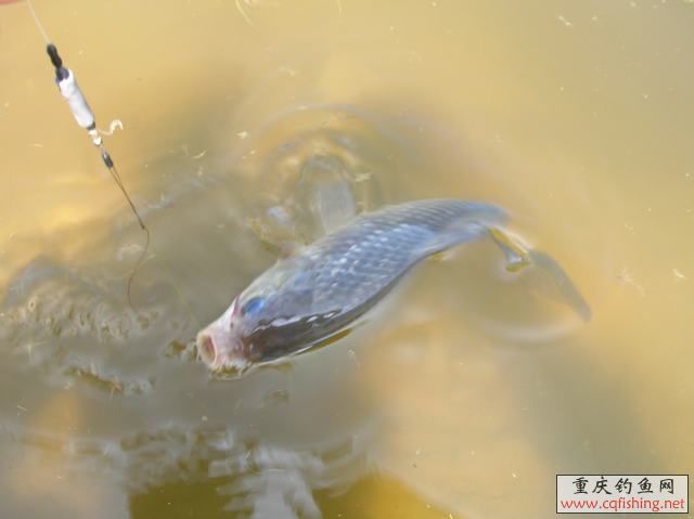 DSCN2035.JPG