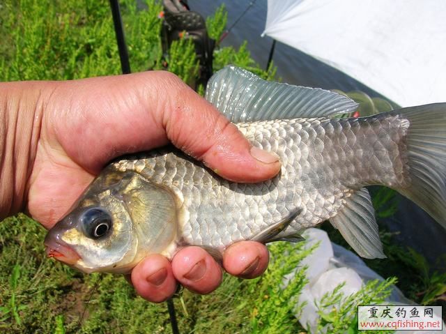 DSCN2036.JPG
