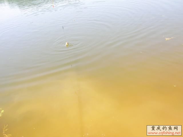 DSCN2049.JPG