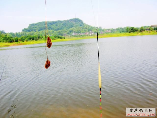 DSCN2057.JPG