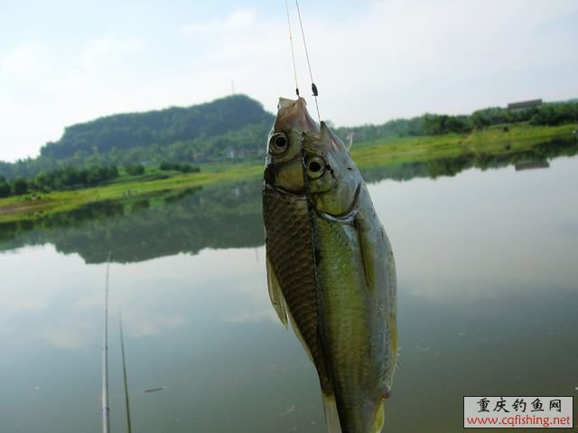 DSCN2061.JPG