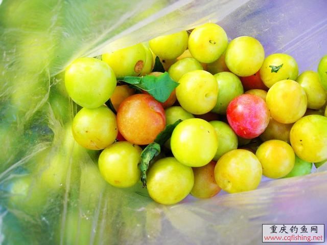 DSCN2077.JPG