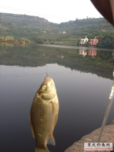 image.jpg