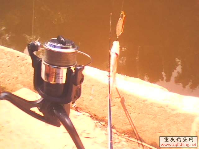 IMG05211047aa.jpg