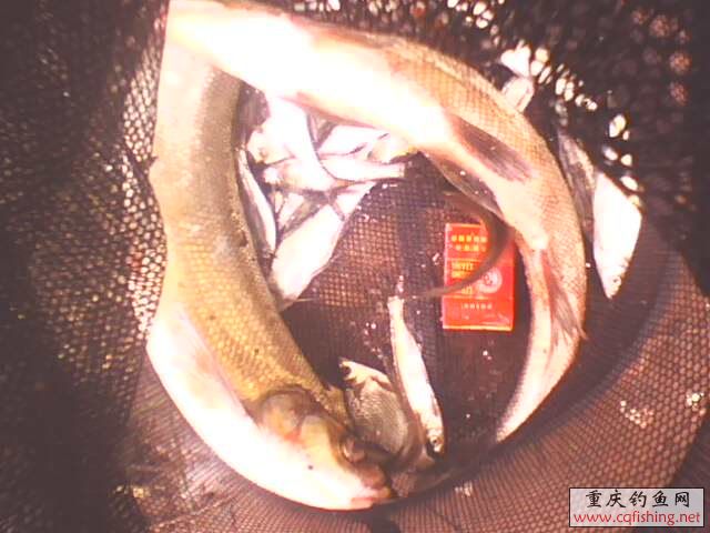 IMG05211414aa.jpg