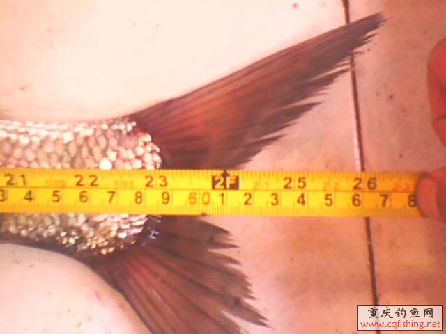 IMG05211718ac.jpg