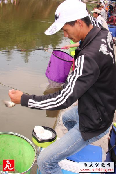 IMG_8953.jpg