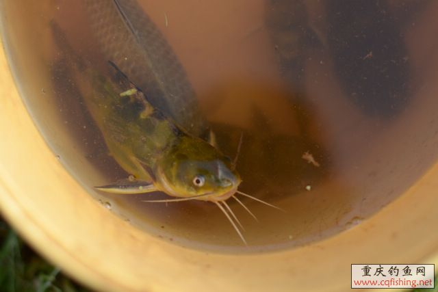 DSC_3469.JPG