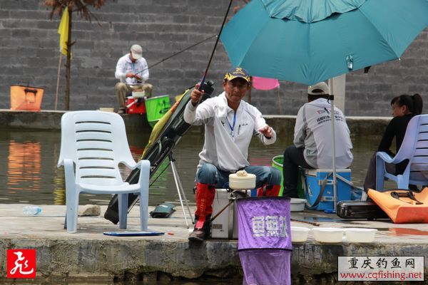 IMG_9022.jpg