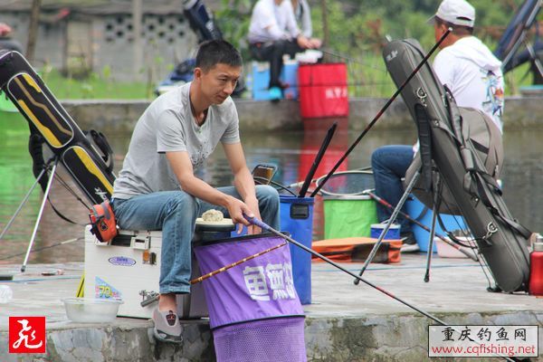 IMG_8943.jpg