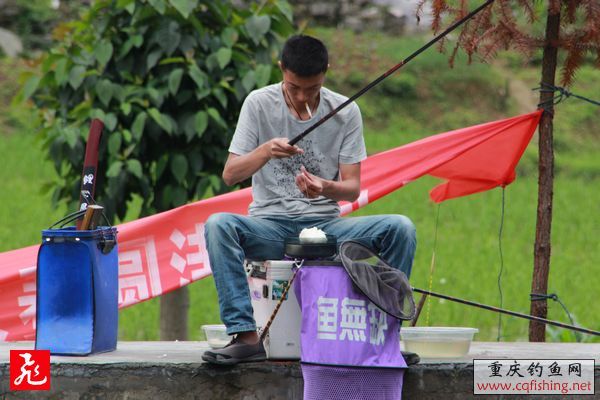 IMG_8994.jpg