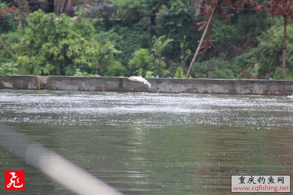 IMG_8915.jpg