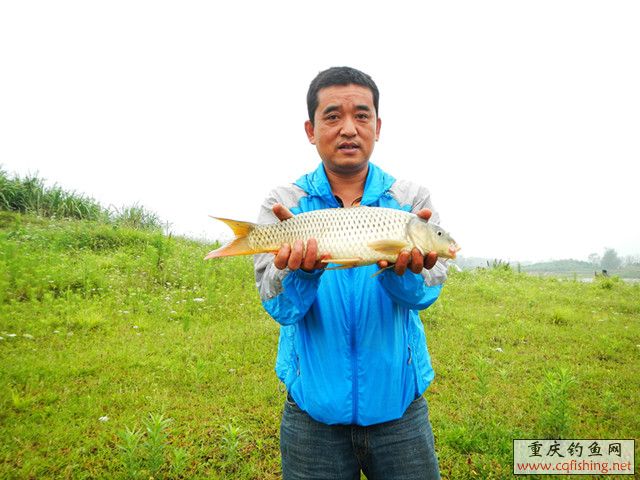 DSCN1763_.jpg