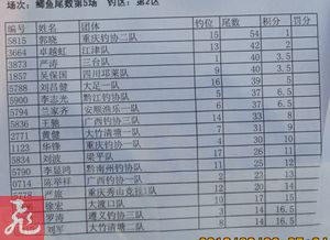 β5-2.jpg