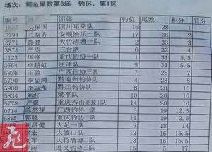 β6-1.jpg