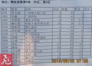 β6-4.jpg
