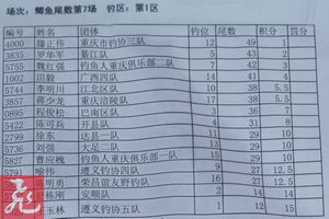β7-1.jpg