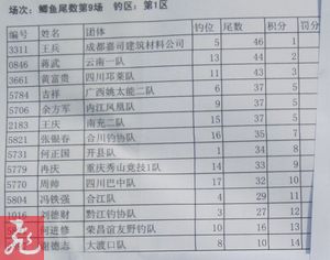 β9-1.jpg