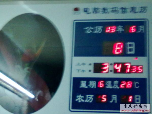 181544wyybfynnhyf211t1.jpg