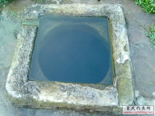 181809ntskki1zj5j51aet.jpg