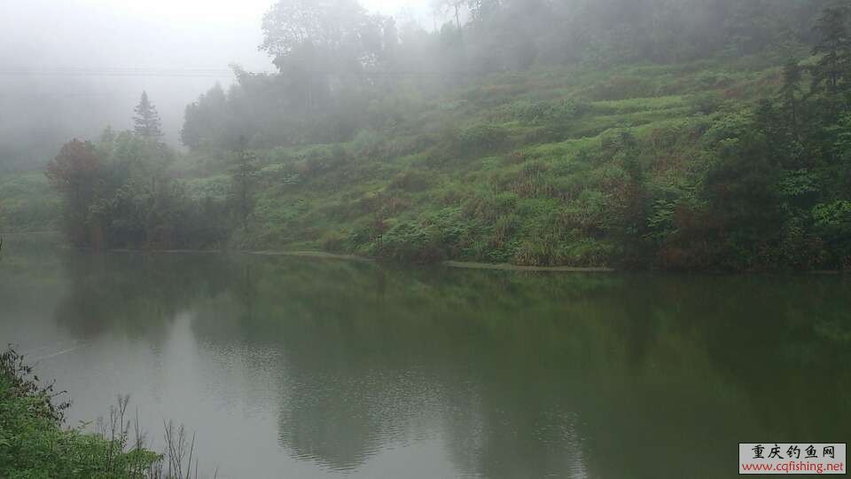 QQͼƬ20130611215310.jpg