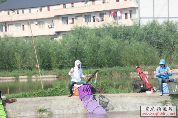 204750yizrm8pibk4riziv.jpg
