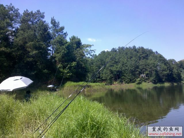 2013-06-11_15-13-17_477.jpg