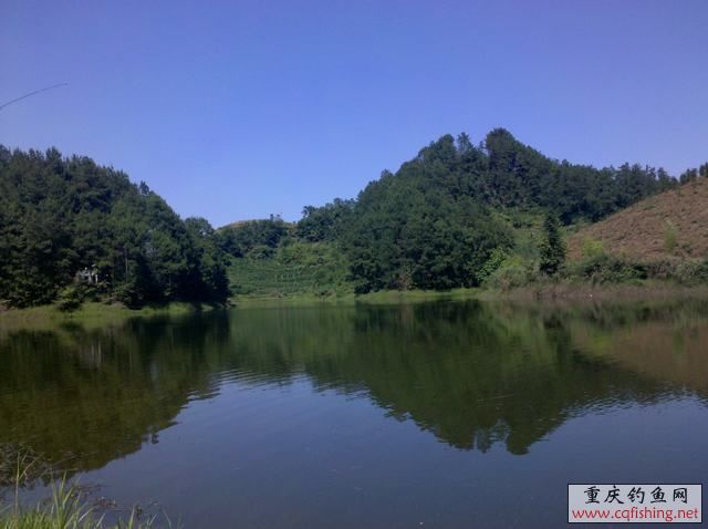 2013-06-11_15-13-24_970.jpg