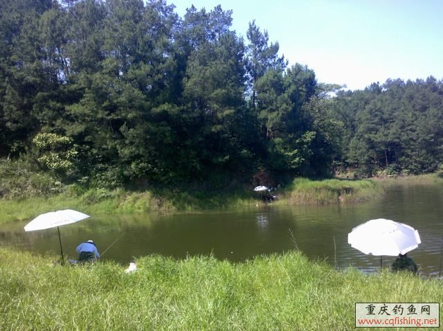 2013-06-11_15-19-17_275.jpg