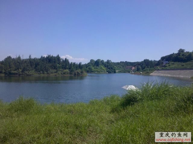 2013-06-11_15-19-37_536.jpg