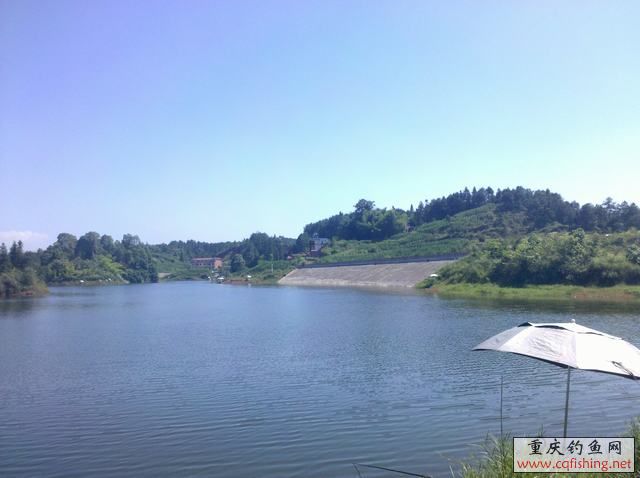 2013-06-11_15-19-49_339.jpg