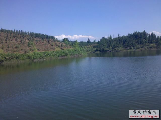2013-06-11_15-20-04_564.jpg