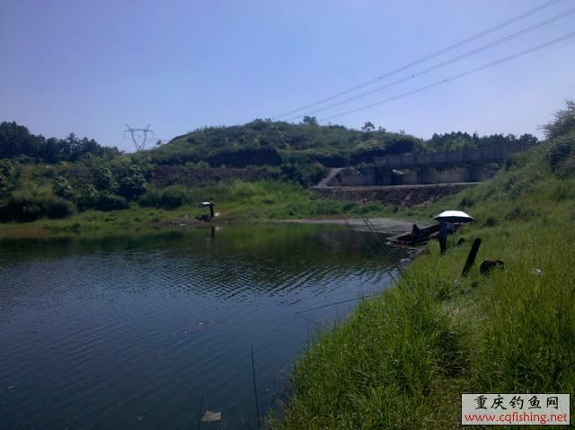 2013-06-11_15-20-22_221.jpg