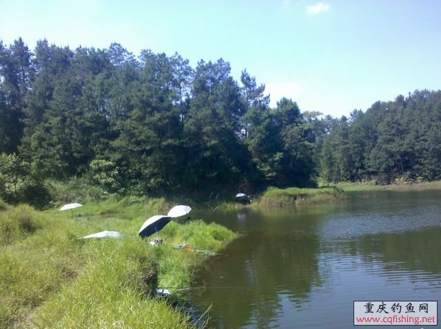 2013-06-11_15-21-24_774.jpg