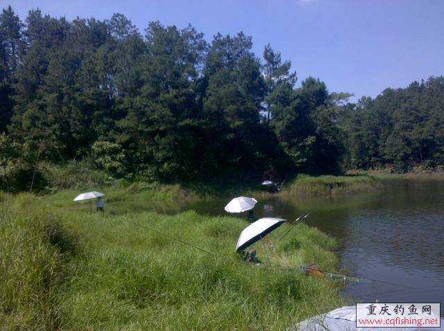2013-06-11_15-21-37_462.jpg