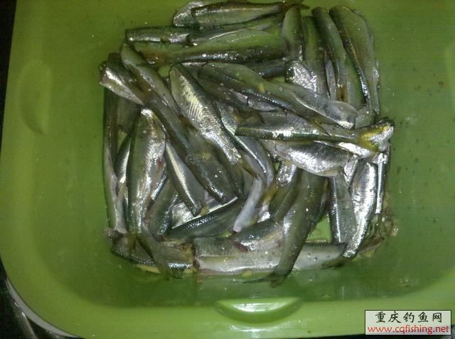 2013-06-11_20-37-50_734.jpg