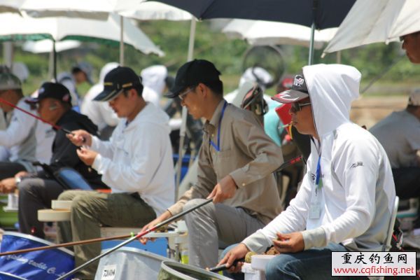 121458a111bikbm6k2zi6q.jpg
