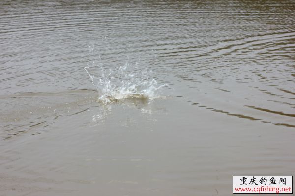 121827nax3t7yy1fr317up.jpg