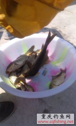 IMG_20130616123527.jpg