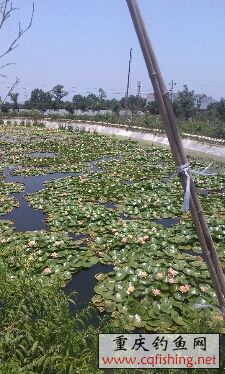 IMG_20130616130704.jpg