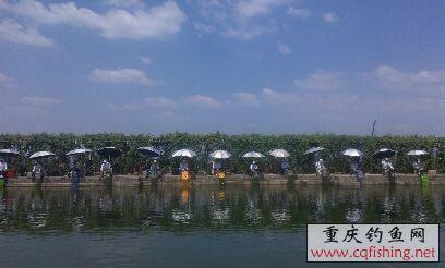 IMG_20130616143900.jpg
